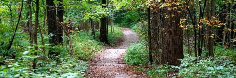 Dirt Days Trail Series - West Side, Best Side 5K Trail Run at Shawnee Lookout