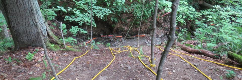 Newbsanity Extreme Ravine Trail Race