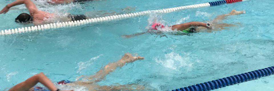 Session 2 Swimming - OFP June 2 - Aug 27
