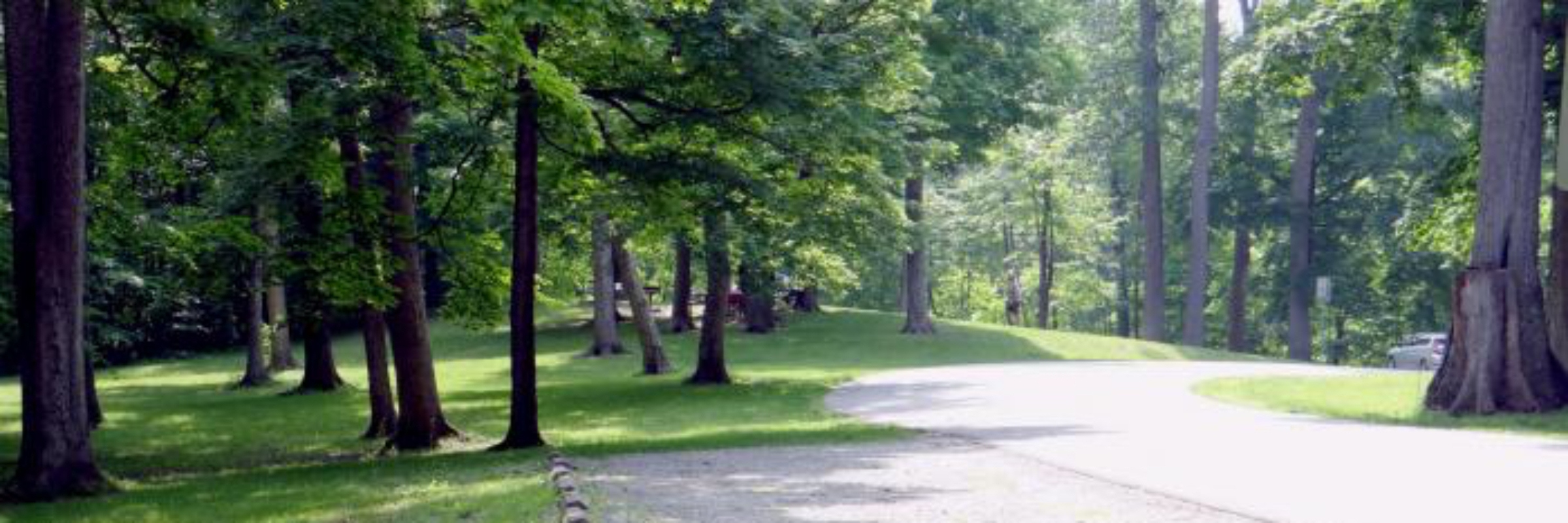 Virtual Shoaff Park Long Mile Kid Race
