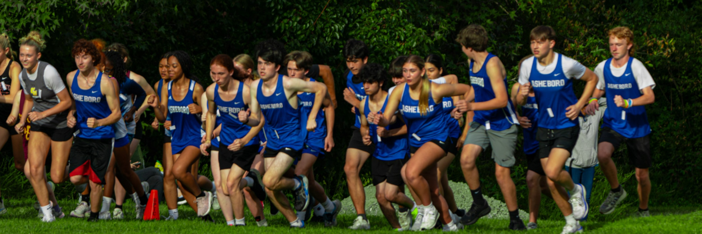 Blue Comet Turkey Trot