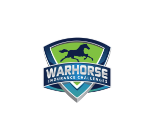 VALOR logo