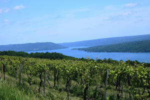 Kiwanis' 415 Mile Finger Lakes Virtual Challenge logo
