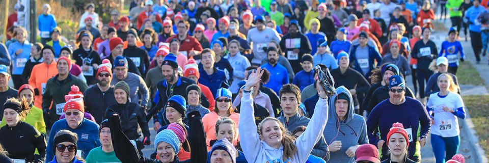 Gallop & Gorge 8K