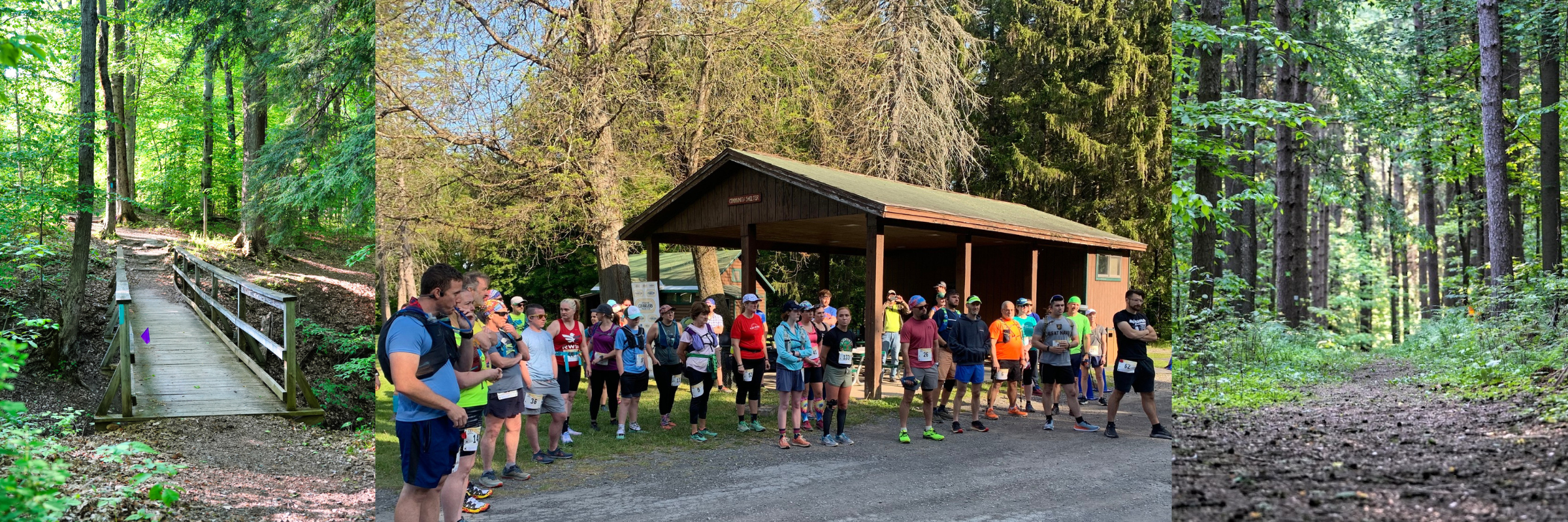 Highland Forest 1-2-3 Trail Run