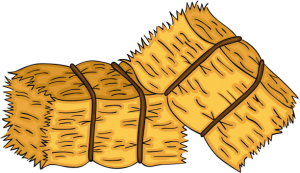 Hay Bale Hustle 3k logo
