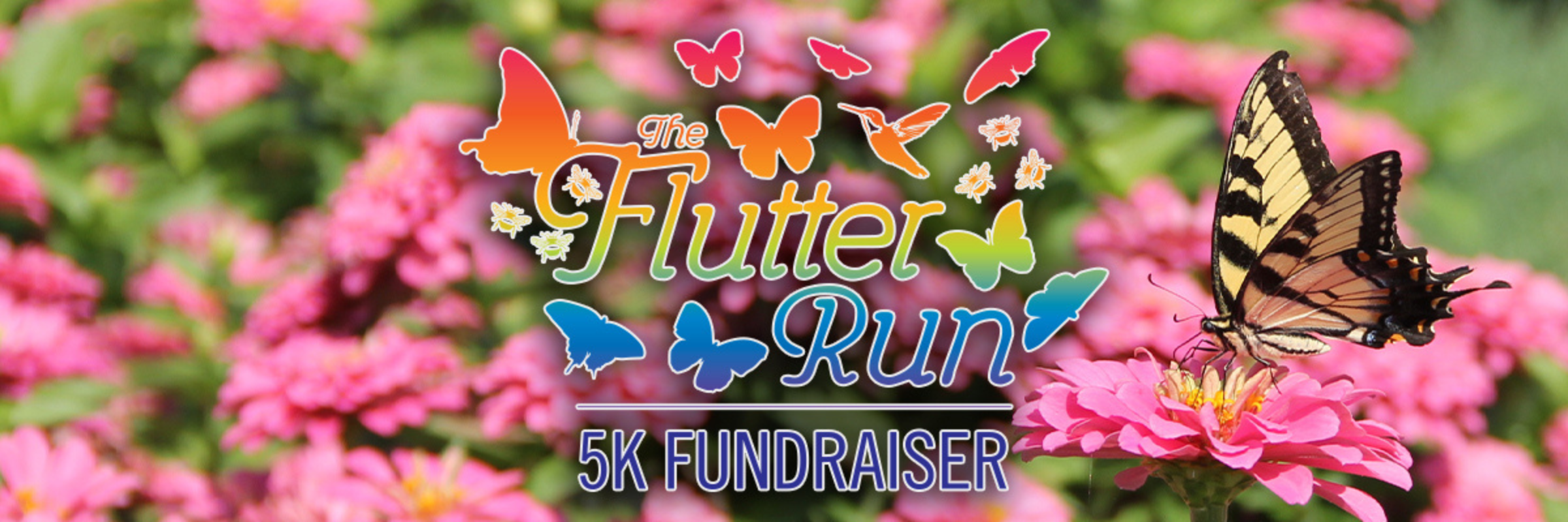 The Flutter Run