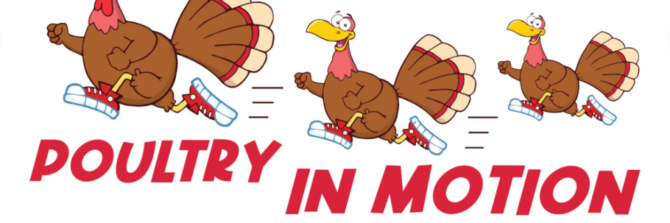 Poultry in Motion; Waco Thanksgiving Day Turkey Trot 5K and 1K Run/Walk