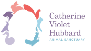 RACE FOR CATHERINE logo