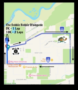 The Gobble Hobble Stampede | 5K & 10K | Walk/Run logo