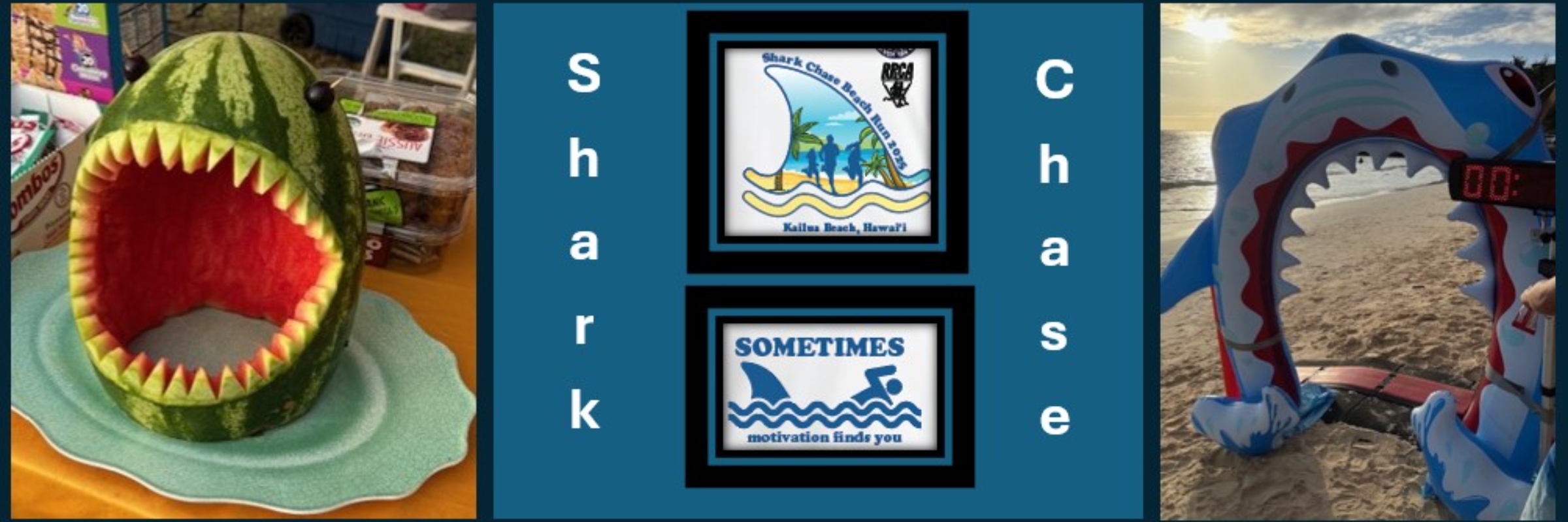 Kailua Beach 4.4-Mile Shark Chase