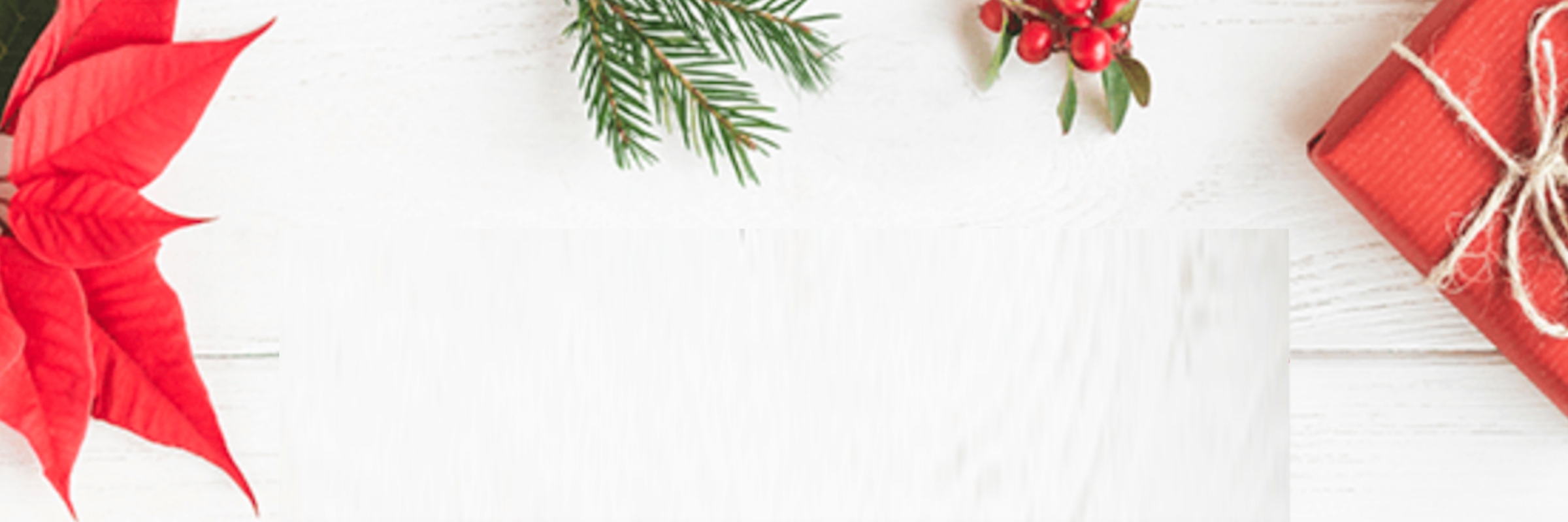 San Diego Holiday Half Marathon & 5K