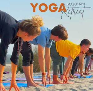 Yoga Retreat in Rishikesh India logo