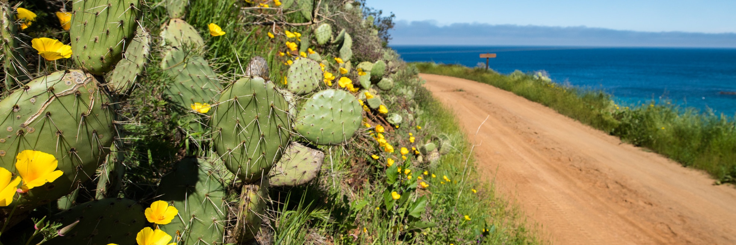 Catalina Island Half-Marathon & 10K