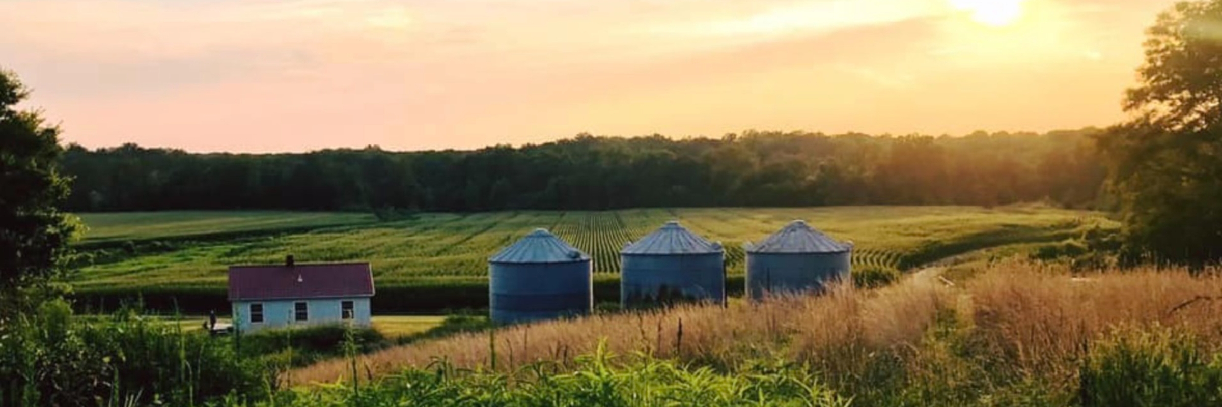 Run to the Taproom - Creekside Farm Brewery 5K & 8K