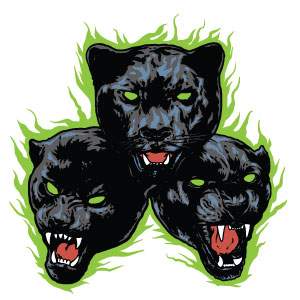 Wildcat logo