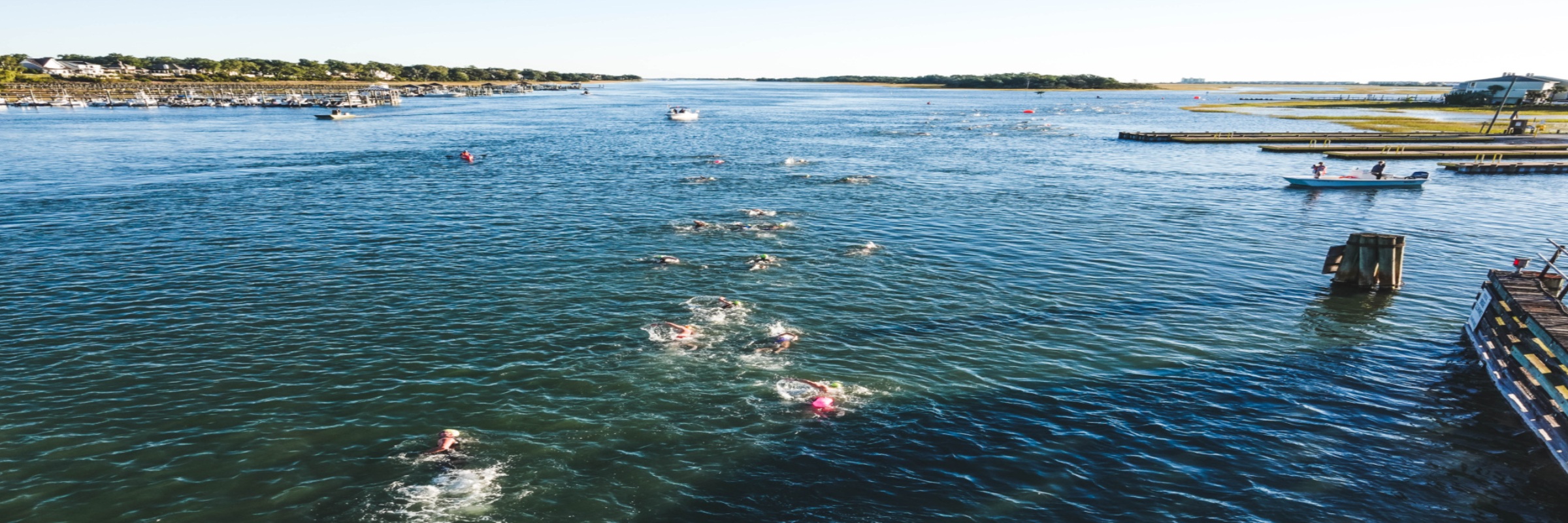 Swim the Loop