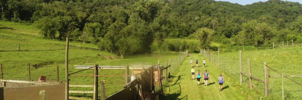 Storm the Farm
