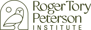Roger's Bird-Day Dash logo