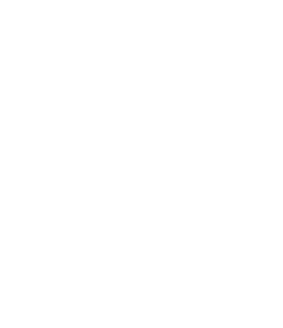 Everybody's 10K + 5K at Lincoln Park logo