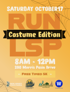 Run Lsp - Costume Edition logo