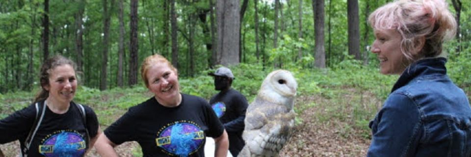 AWARE Wildlife Night Owl 5K