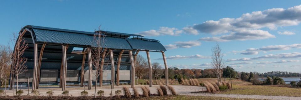 Timberneck 5K Run/Walk