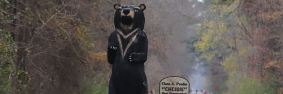 Tidewater Strider Dismal Swamp 50K / Marathon /Half Marathon/50K Relay