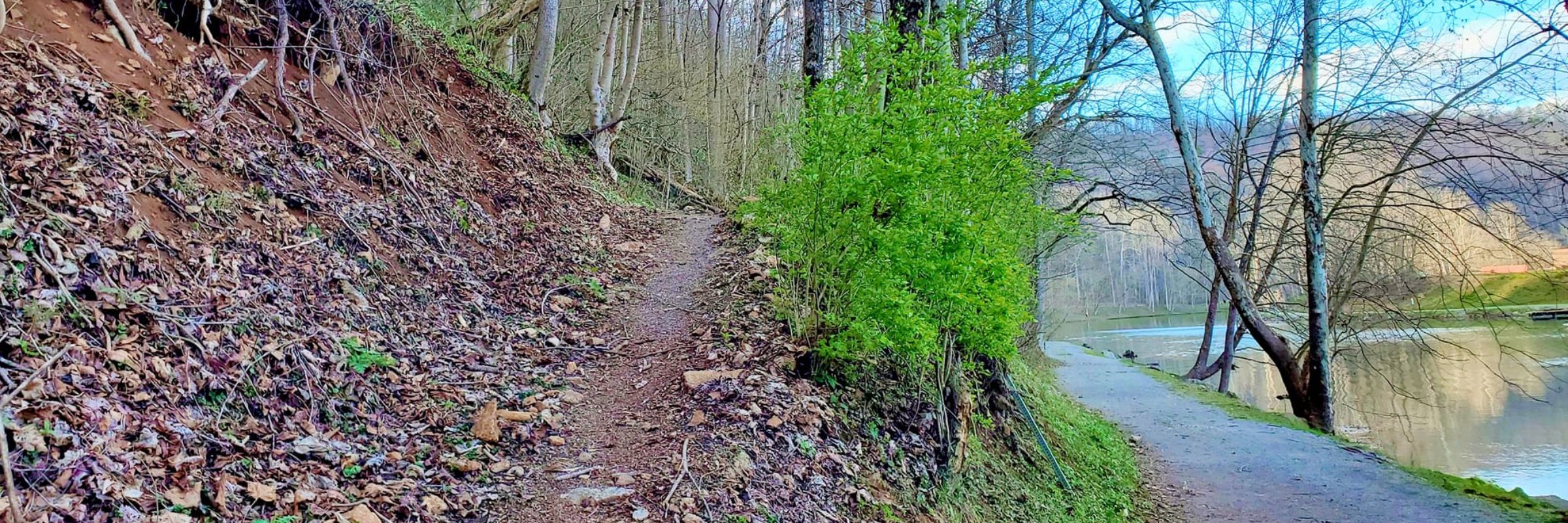 Clinch River Days Festival 5.5K Trail Challenge Run