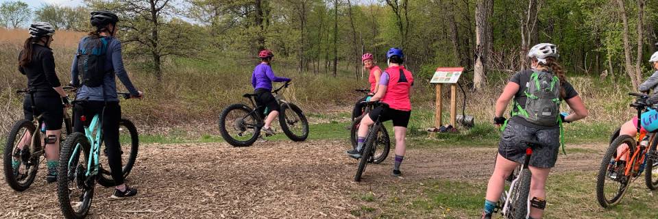 Adult Mountain Bike