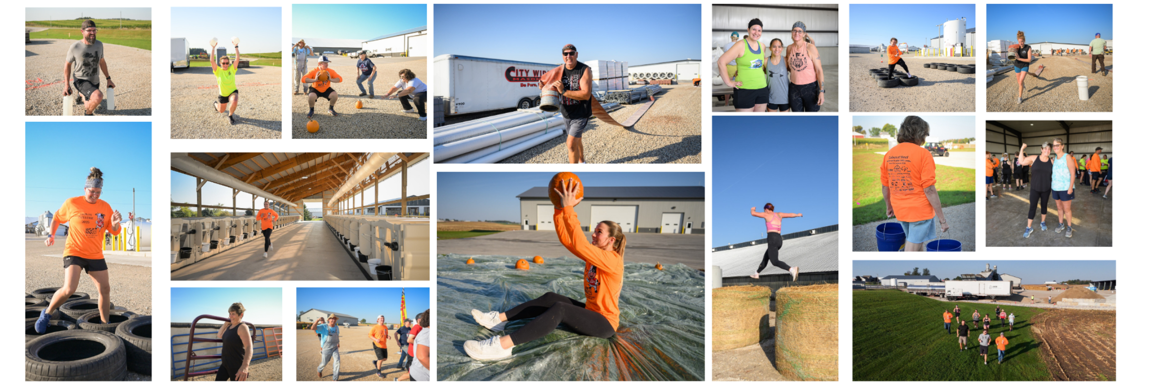 Farm-Fit Challenge