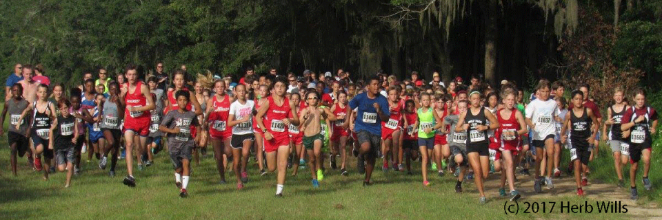 Miller Landing Madness 8K/5K/3K Cross Country Run