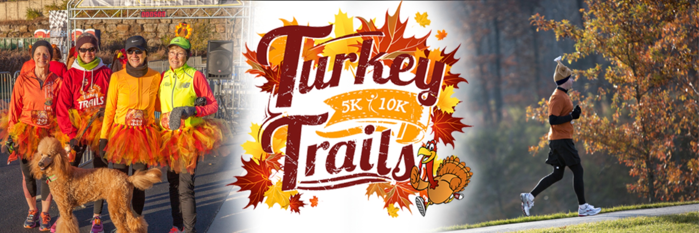 Turkey Trails - Lincoln