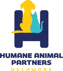 18th RUN FOR THE PAWS 5K, 5K WALK & 1M DOG WALK (SS Summer Series #10) logo