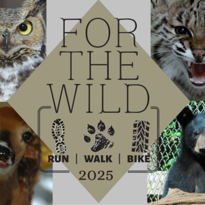 For The Wild 5K/10K+ logo