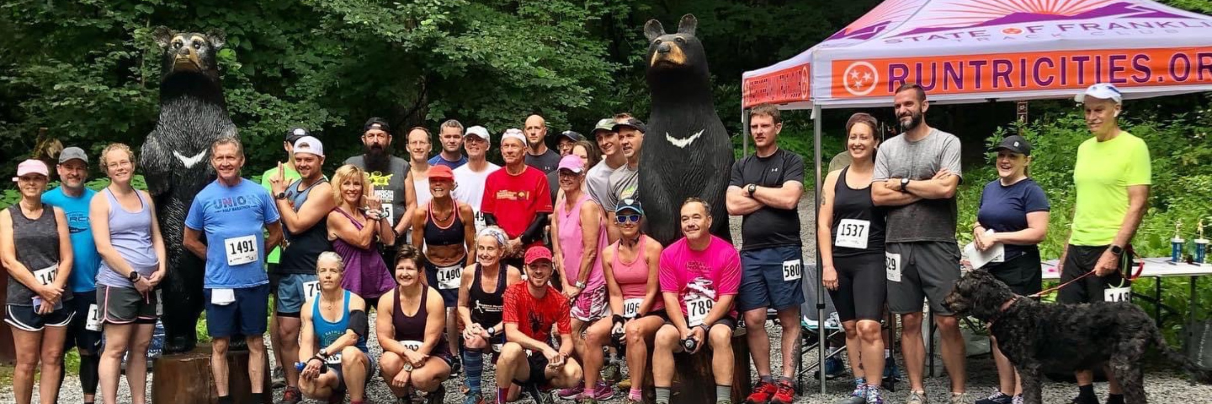 Bear Track