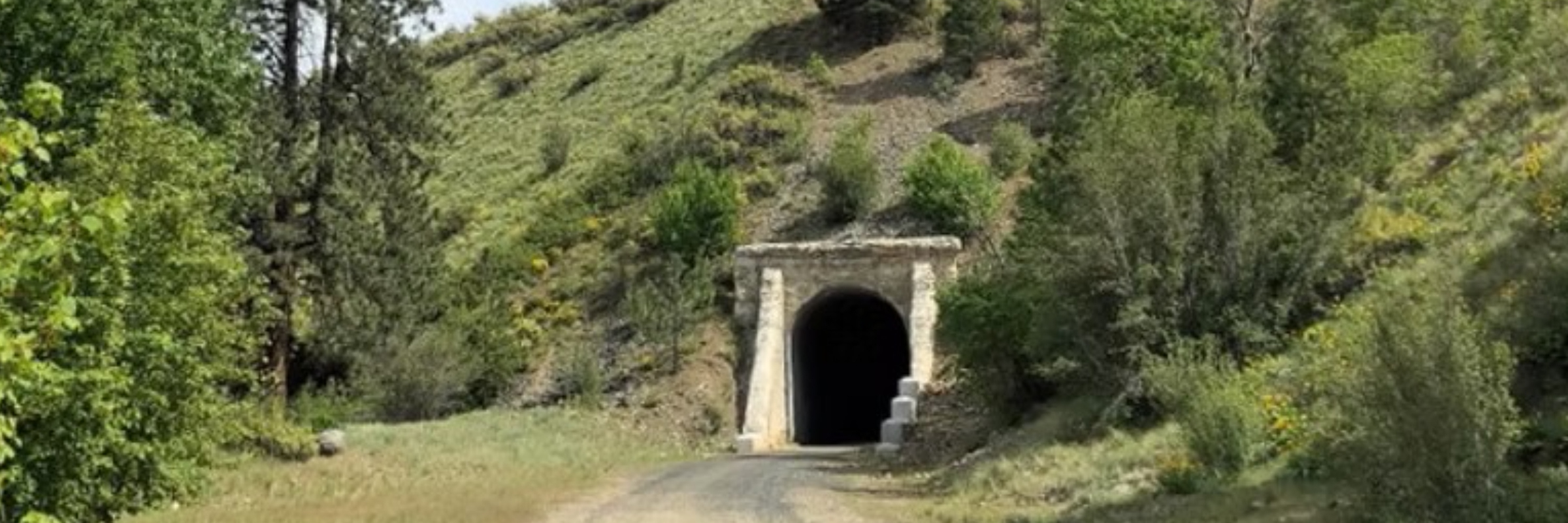 Palouse to Cascades Marathon+ Relay