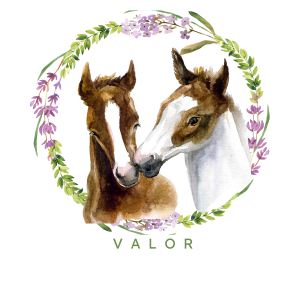 VALOR 25 Challenge logo