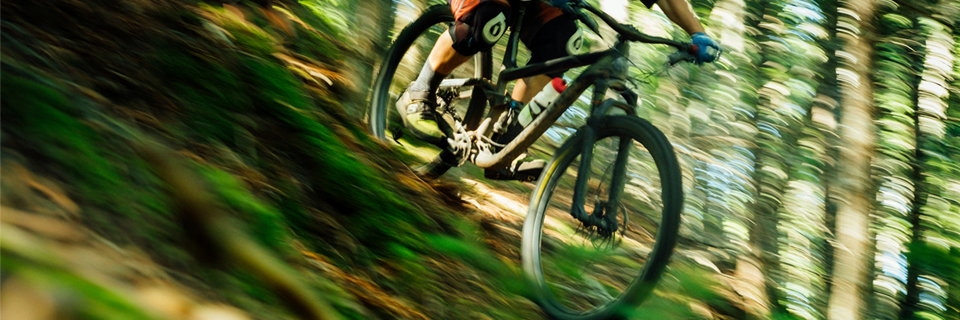 Clearwater Forest Adventure-A-Thon