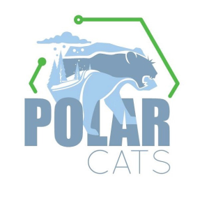 Super Bowl 5K- Polar Cats Race #3 logo