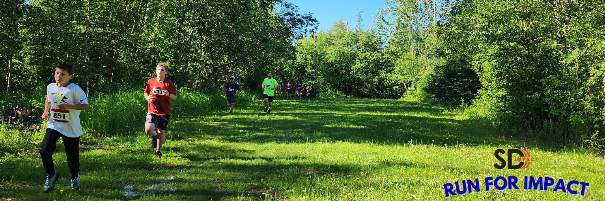 Run For Impact