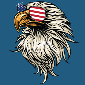 Stars and Stripes logo