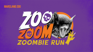 Zoo Zoom 5K logo