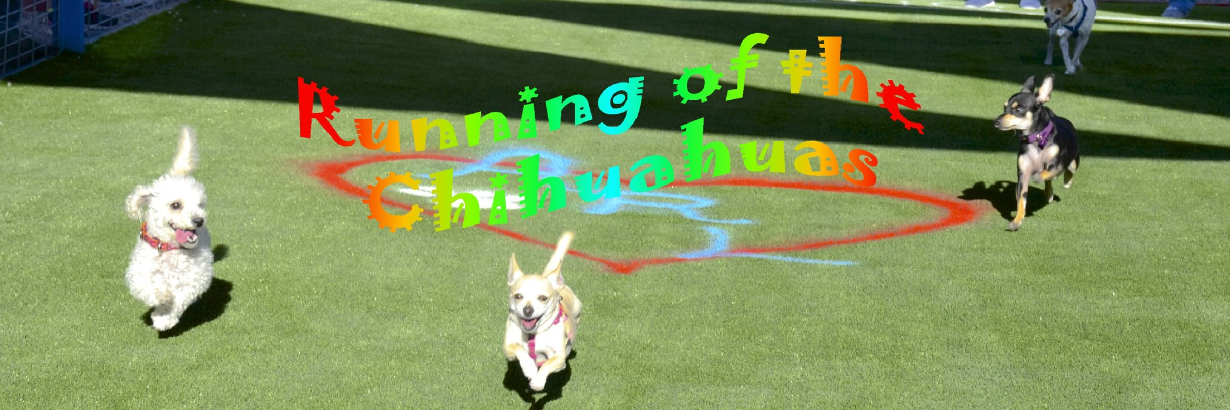 Animal Rescue League of El Paso's 9th Annual RUNNING OF THE CHIHUAHUAS