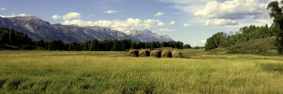 Jackson Hole Marathon,  Hole Half Marathon, Jackson Hole Quarter Marathon