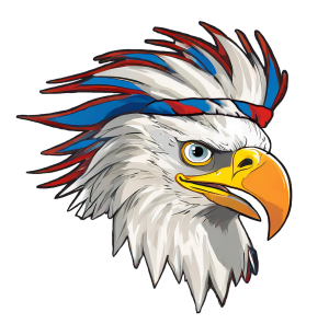 Party in the USA 5K logo