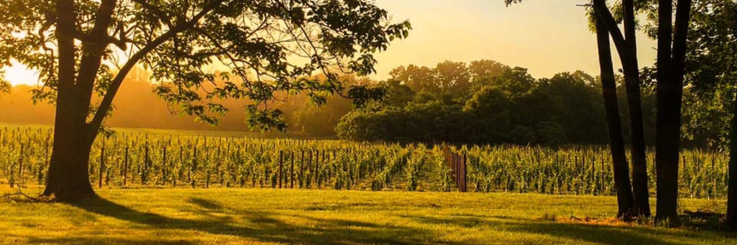 Stokelan Estate Haunted Wine Run 5k