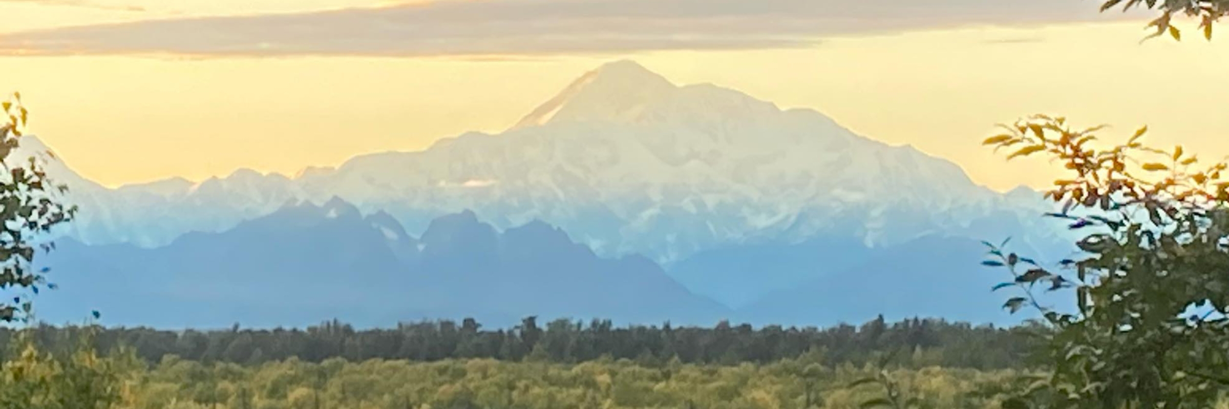 Talkeetna Trail Race