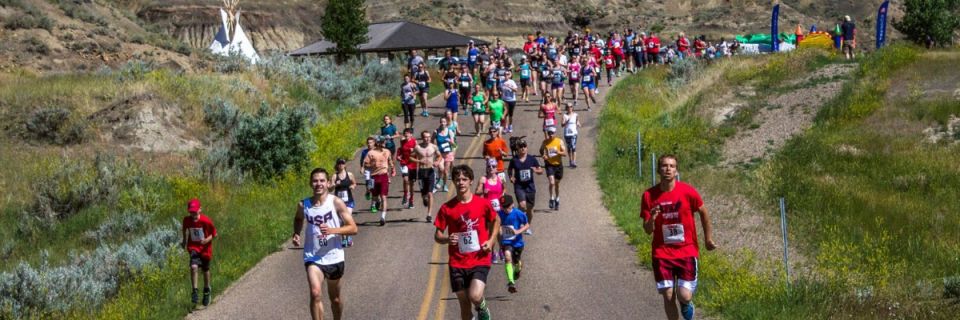 Buzzard Day Runs