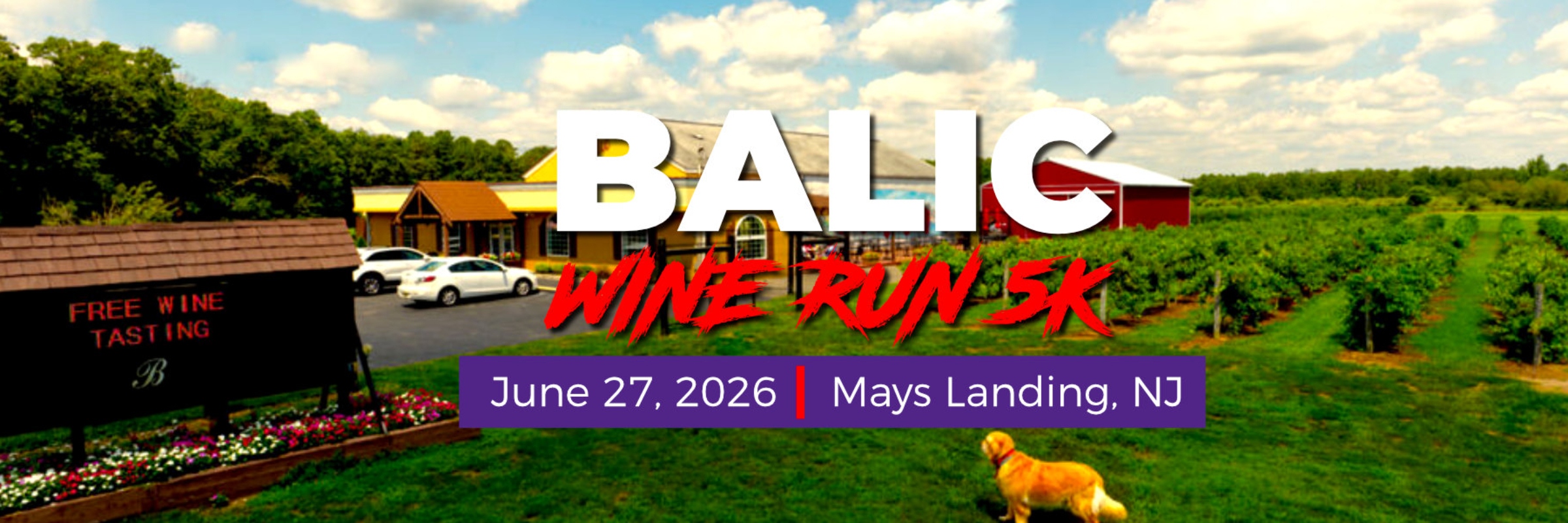Balic Wine Run 5k